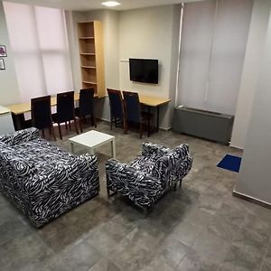 Bunk Bed Male Dormitory Room
